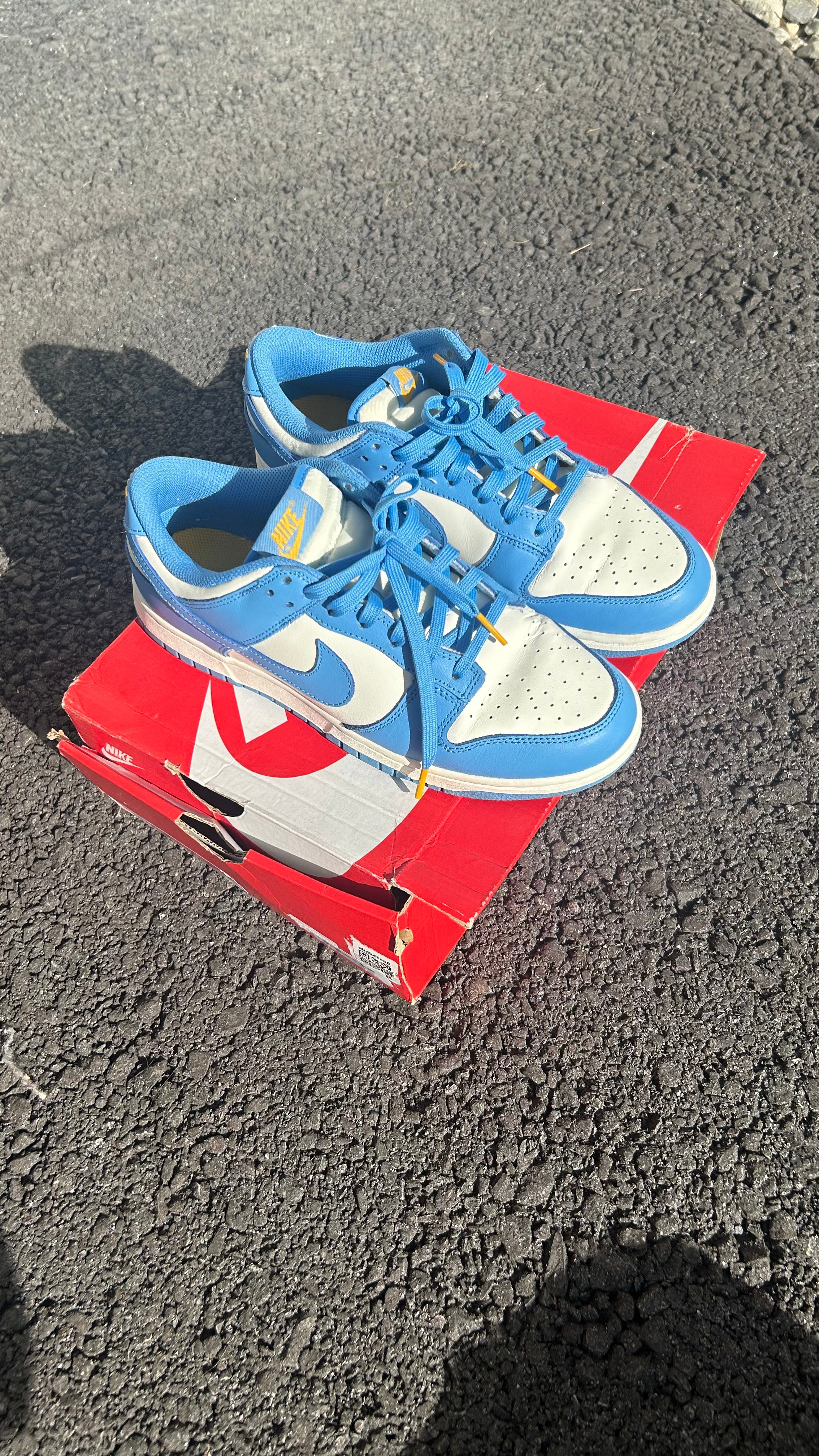 Nike Dunk Low ‘Coast’